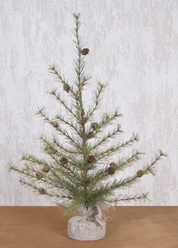 Cypress Pine Tree 2 ft.