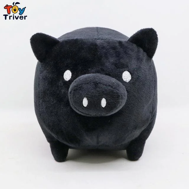 black pig