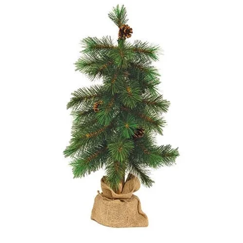 Royal Oregon Pine Tree With Burlap Base 24"